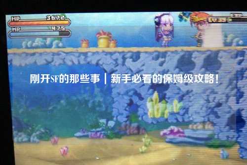 剛開SF的那些事｜新手必看的保姆級攻略！