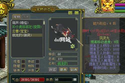 dnf網站