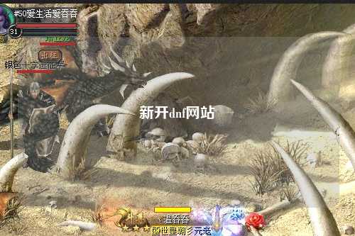 新開dnf網站
