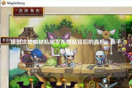 原創攻略揭秘私服發布網站背后的真相，新手必看！